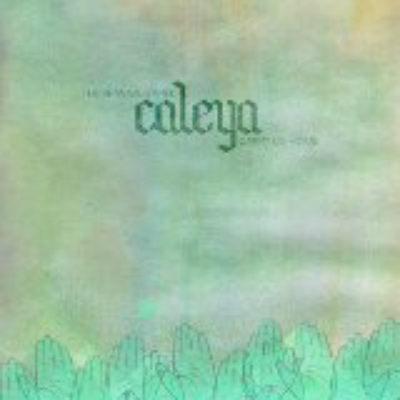 aleya - "These Waves Will Carry Us Home" (CD)
