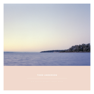 Todd Anderson - "Die Stille schreit nicht mehr" (LP 12", lila)